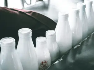 Who leads global dairy race? Top 7 milk-producing countries in world in 2025/26