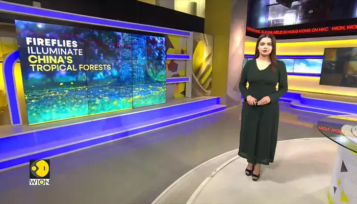 WionNews Video