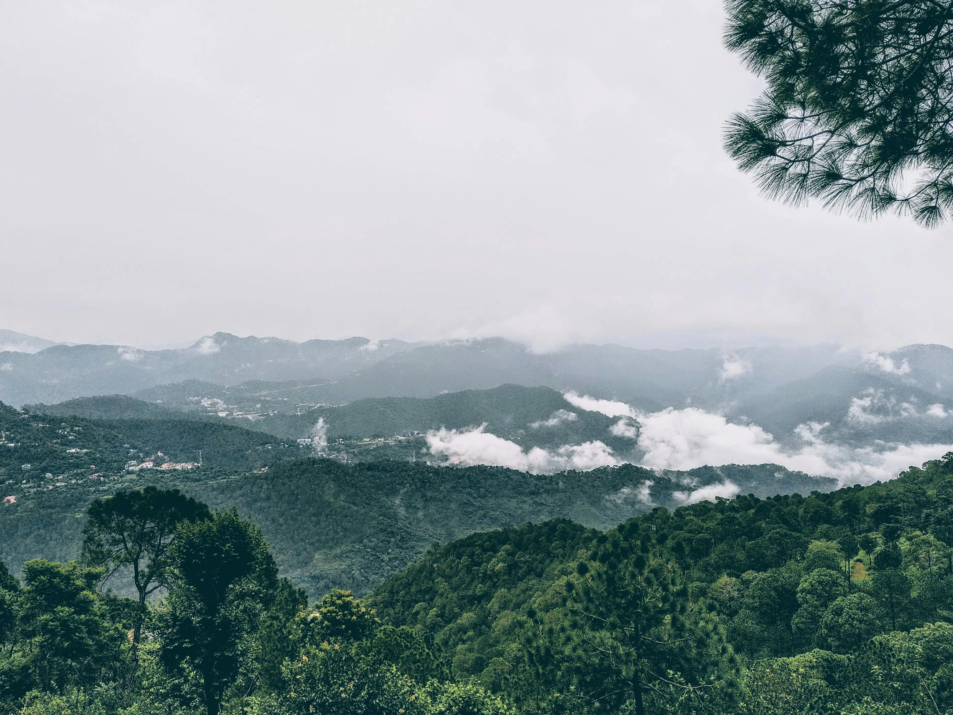 4. Kasauli, Himachal Pradesh (~290 km from Delhi | 16–24°C)