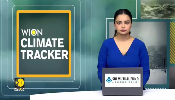 India Reopens Aravalli Debate; Expert Panel To Review Forest Definition