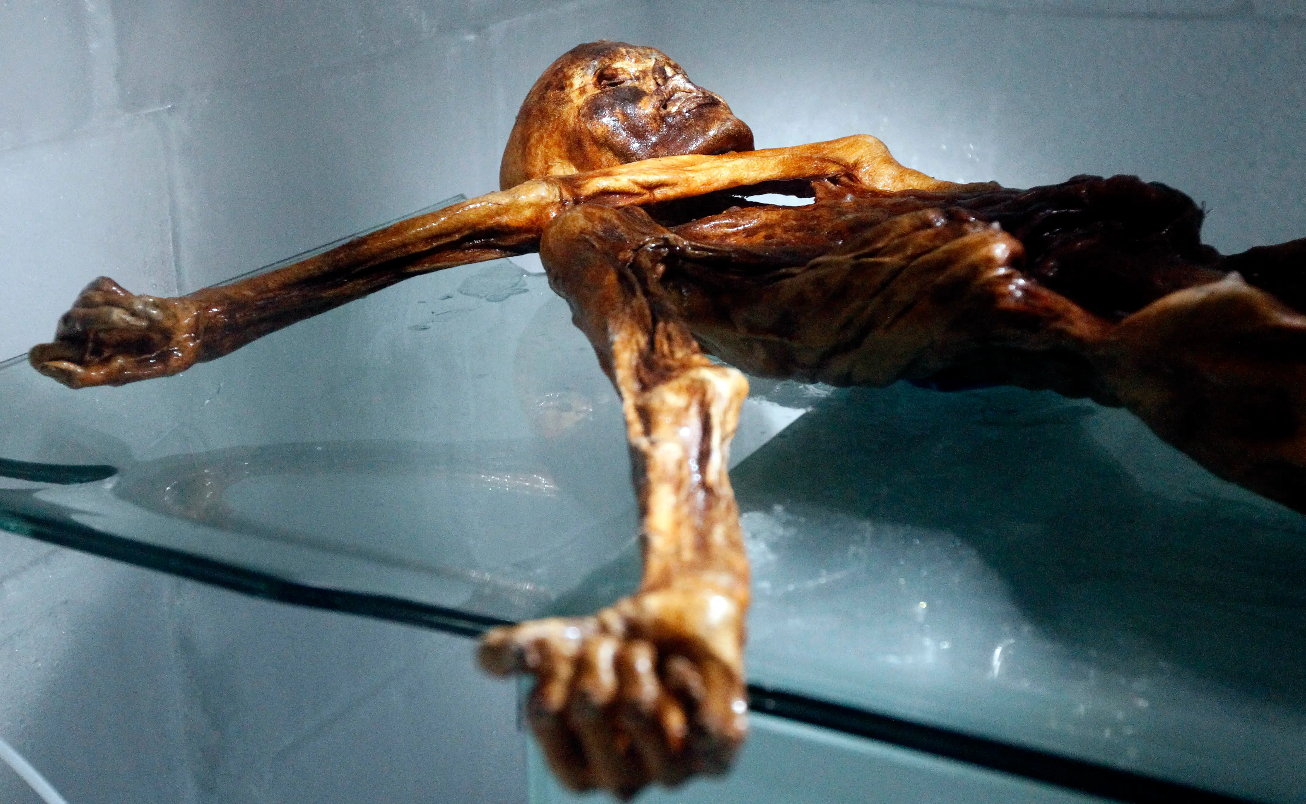 Scientists extract yeast from 5,300-year-old Iceman Otzi to bake bread