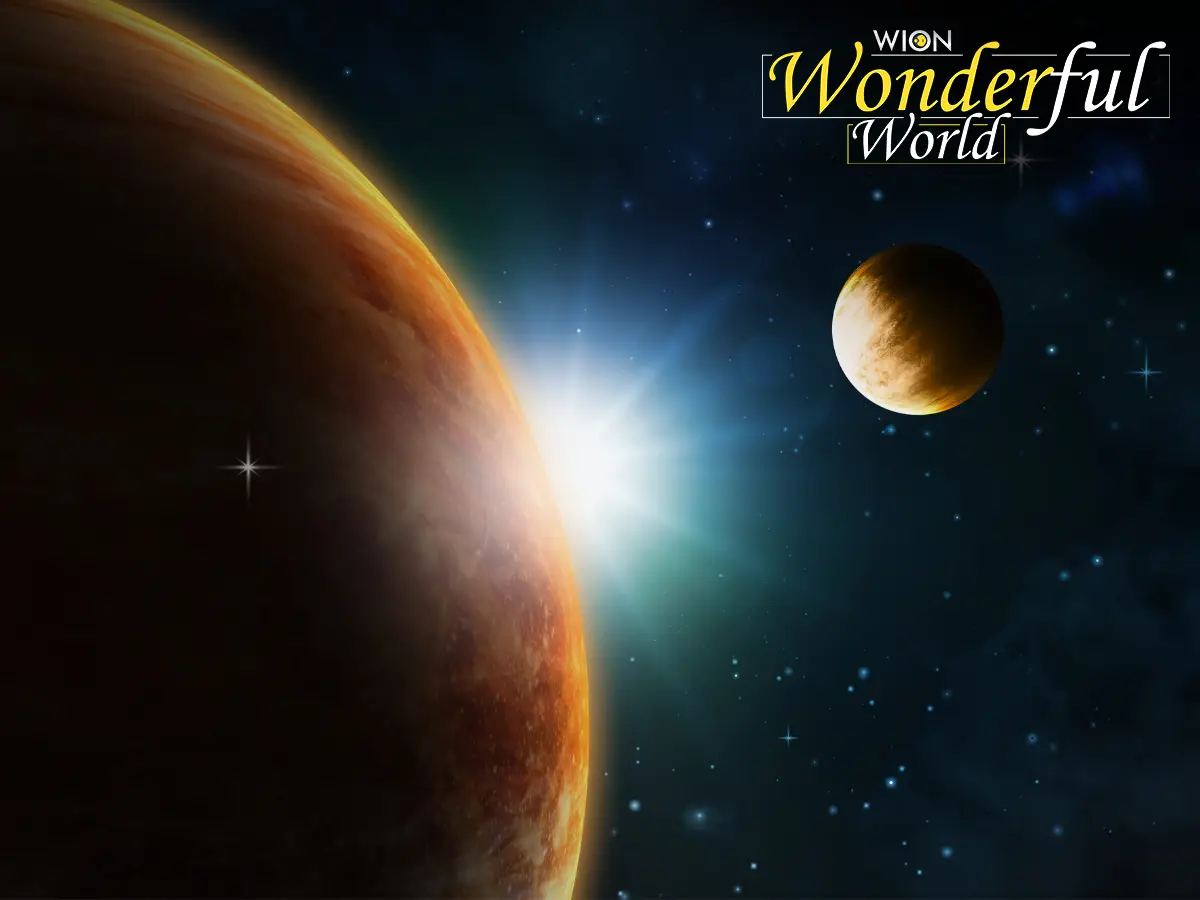 Scientists just discovered cannibal stars. Our Sun also once ate Earth-like planets - WION Special