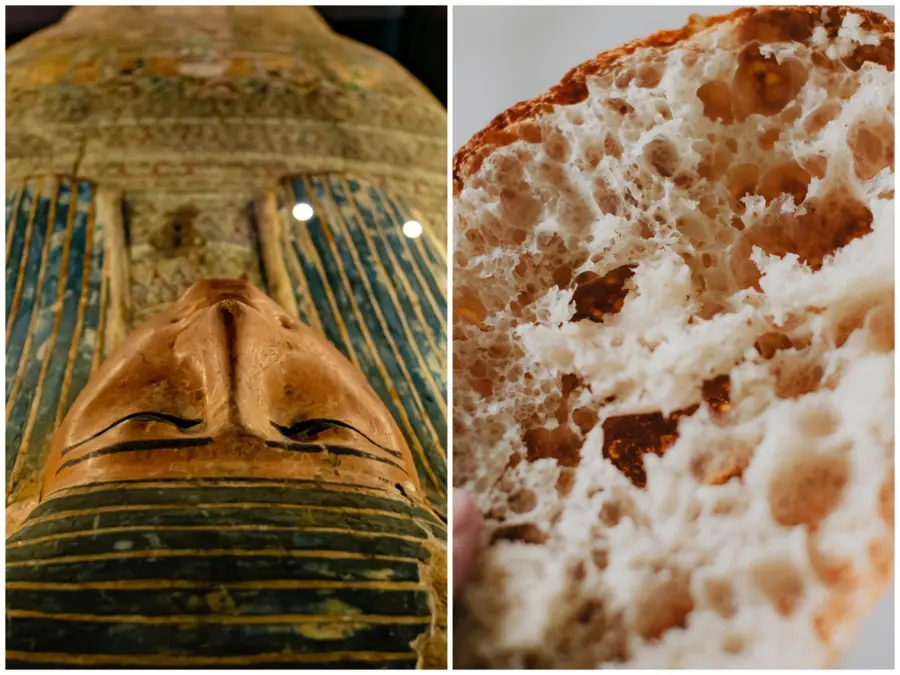 Would you eat it? Scientists baked bread using yeast found in 5,300-year-old mummy's gut