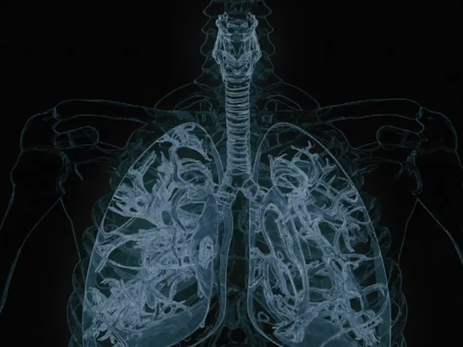 Hidden system, big impact: THIS forgotten organ could predict how long you live, study finds