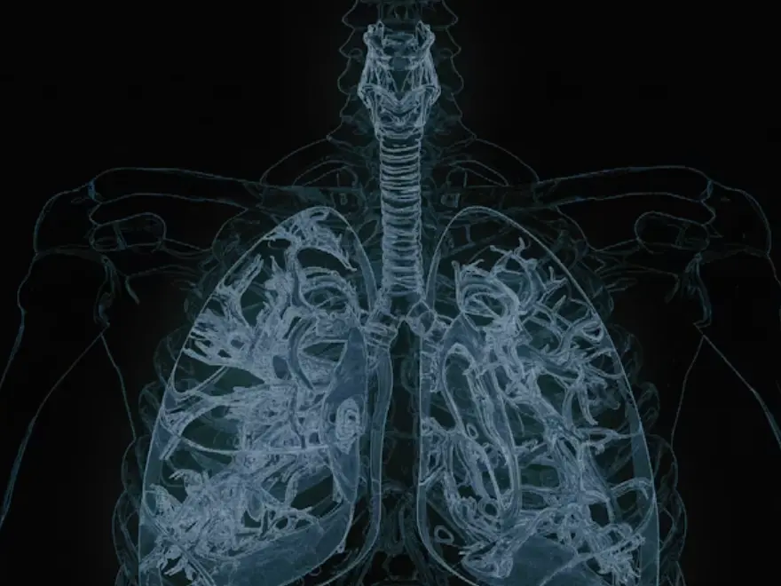 Hidden system, big impact: THIS forgotten organ could predict how long you live, study finds Hidden system, big impact: THIS forgotten organ could predict how long you live, study finds