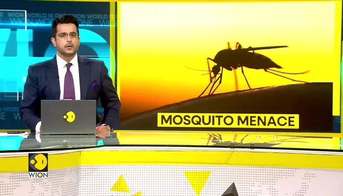 WHO Sounds Alarm Over Rising Mosquito-Linked Deaths Worldwide 