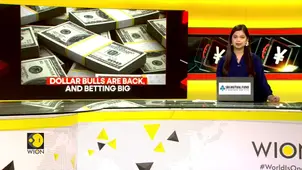 Dollar Bets Hit 9-Month High: Why Now
