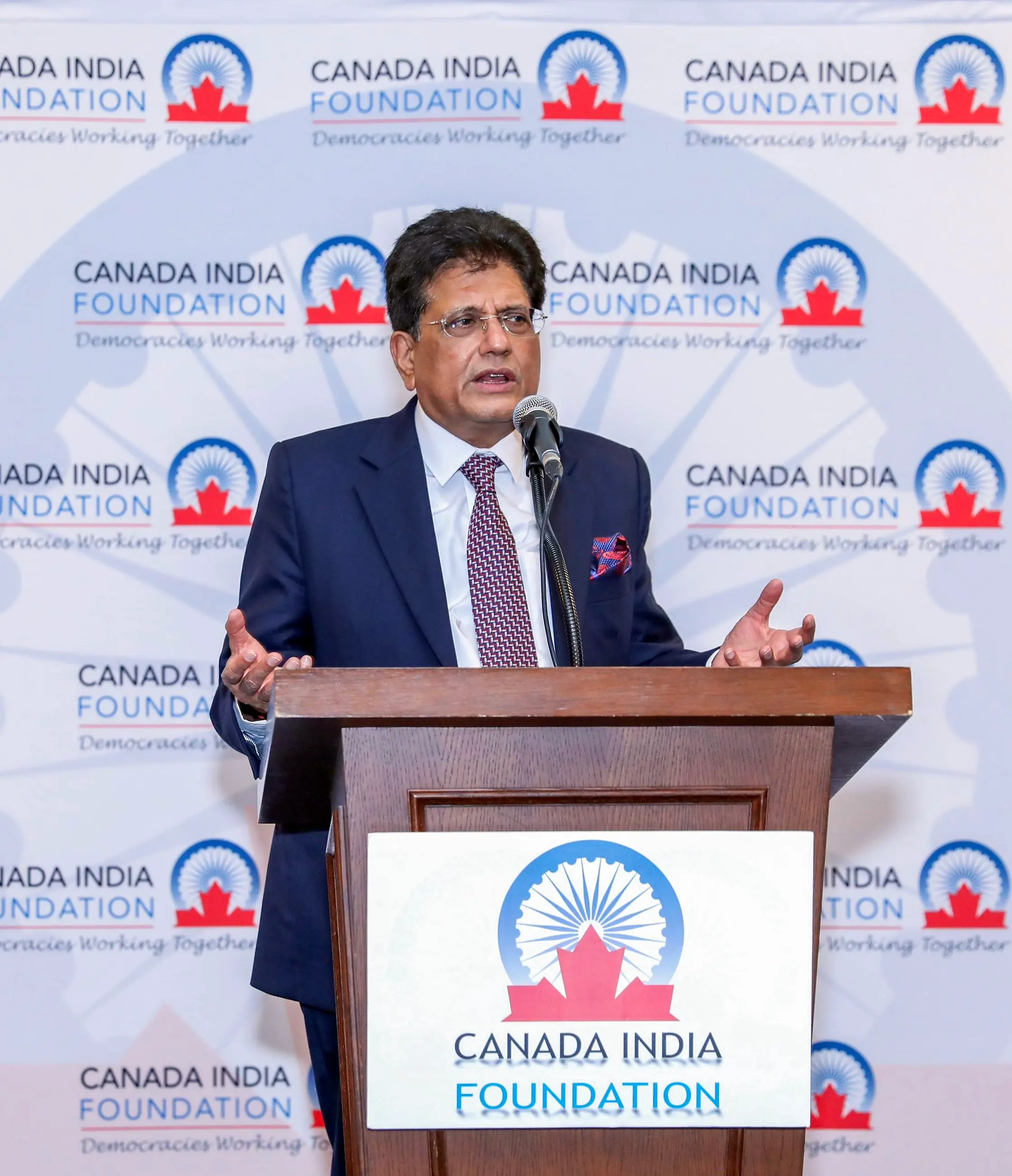 India to remain world's fastest-growing economy for next 20 years: Piyush Goyal
