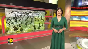 Afghanistan’s Community-Led Green Push Restores Forest Cover Lost to War