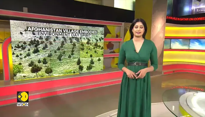 Afghanistan’s Community-Led Green Push Restores Forest Cover Lost to War