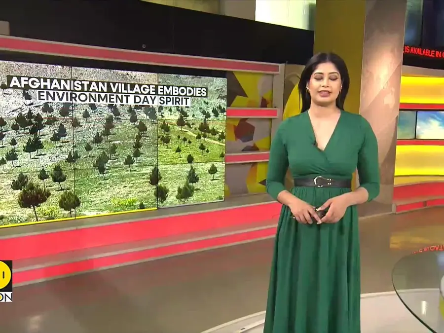 Afghanistan’s Community-Led Green Push Restores Forest Cover Lost to War