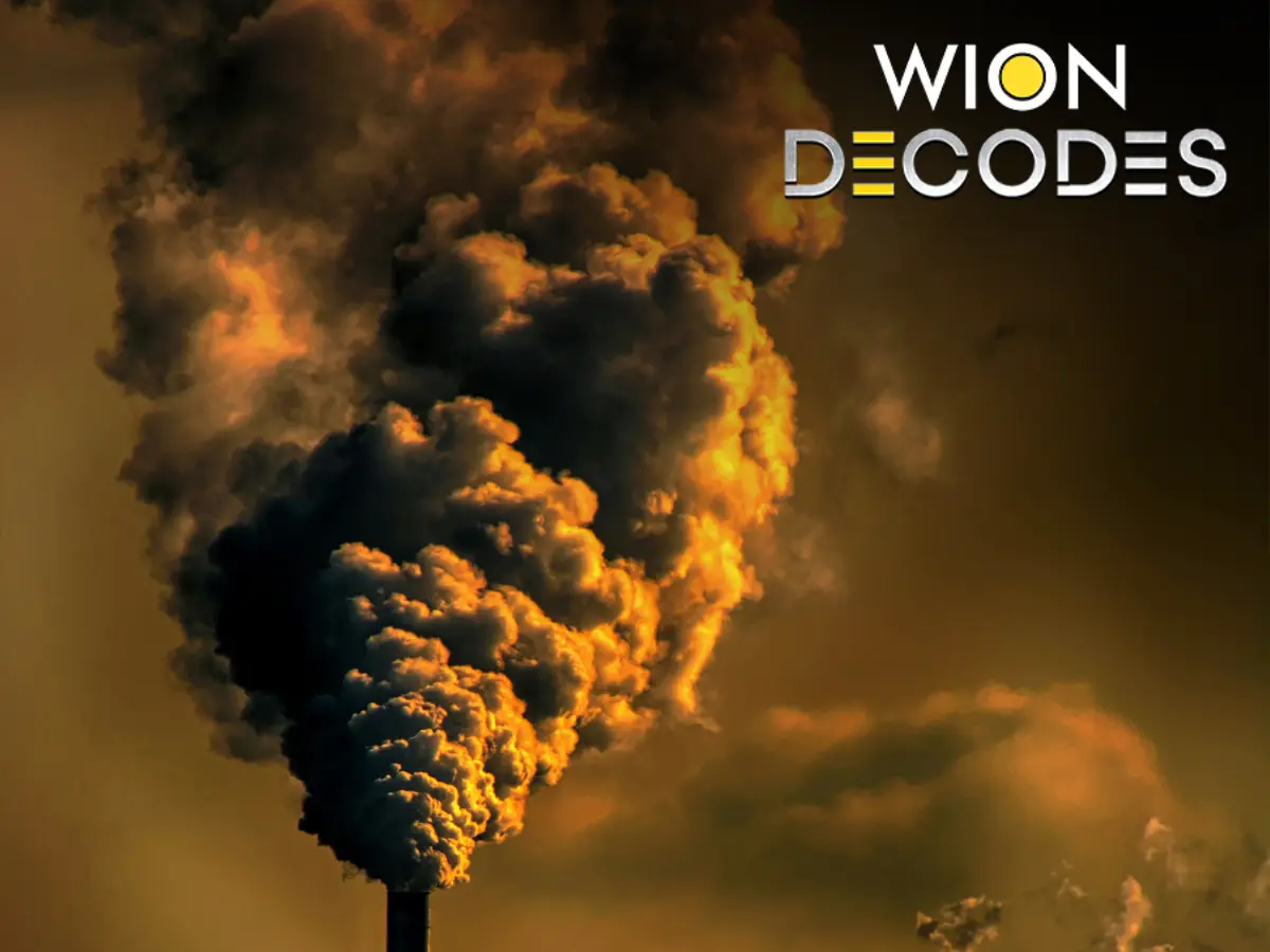 World Environment Day in the age of AI - Are humans sacrificing the climate for data centres? World Environment Day in the age of AI - Are humans sacrificing the climate for data centres?