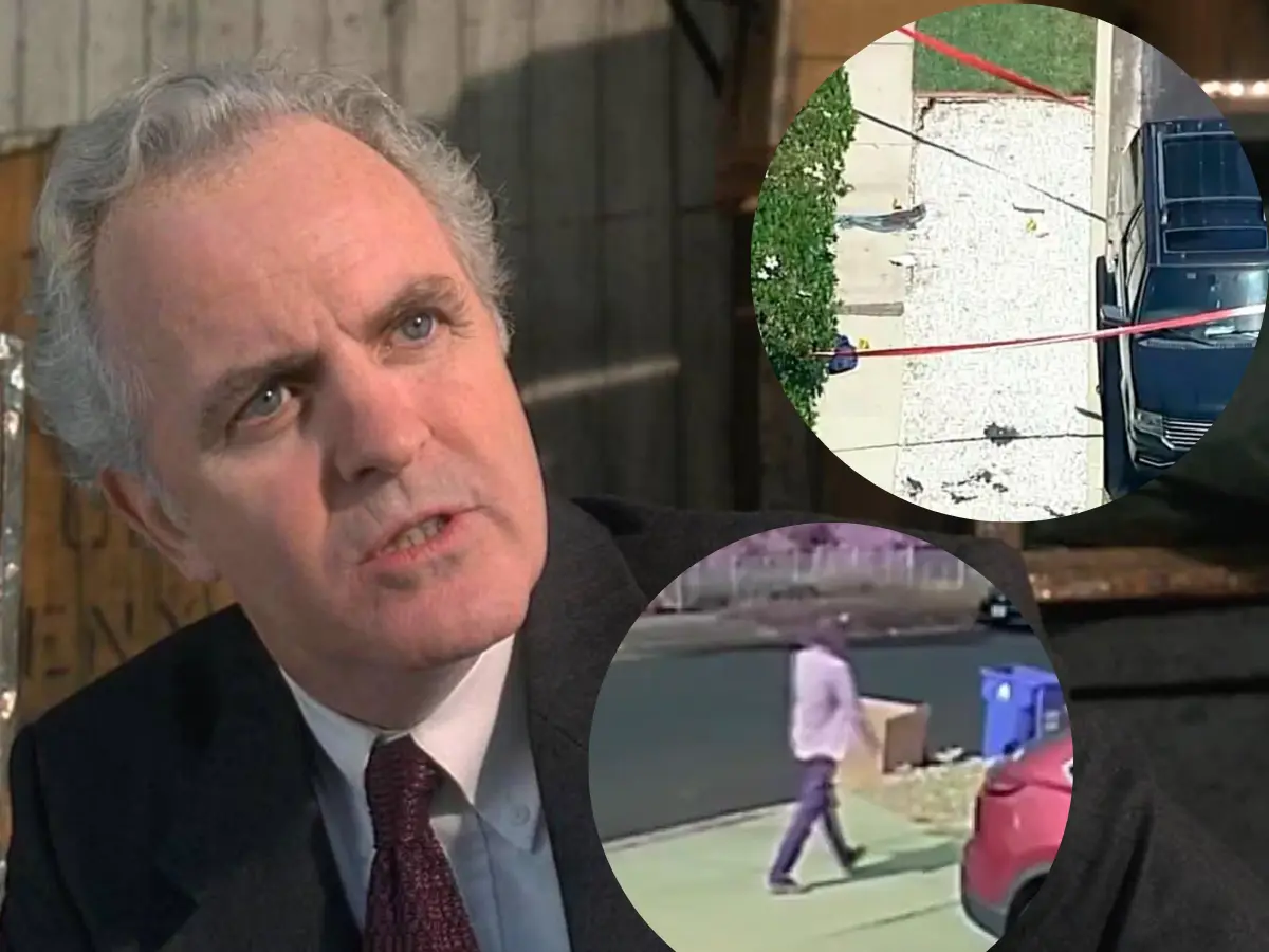 Footage of James Handy’s murder suspect calmy walking after stabbing incident