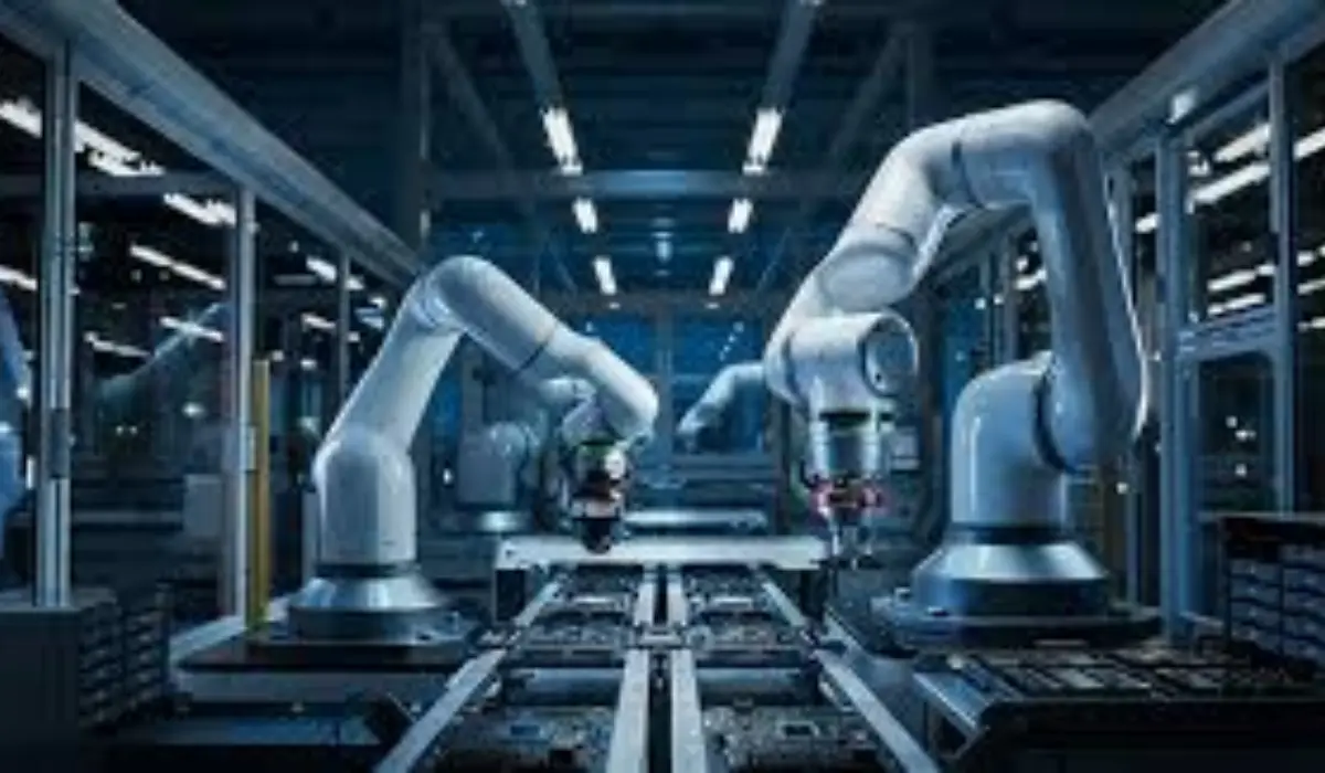 Thriving in structured environments