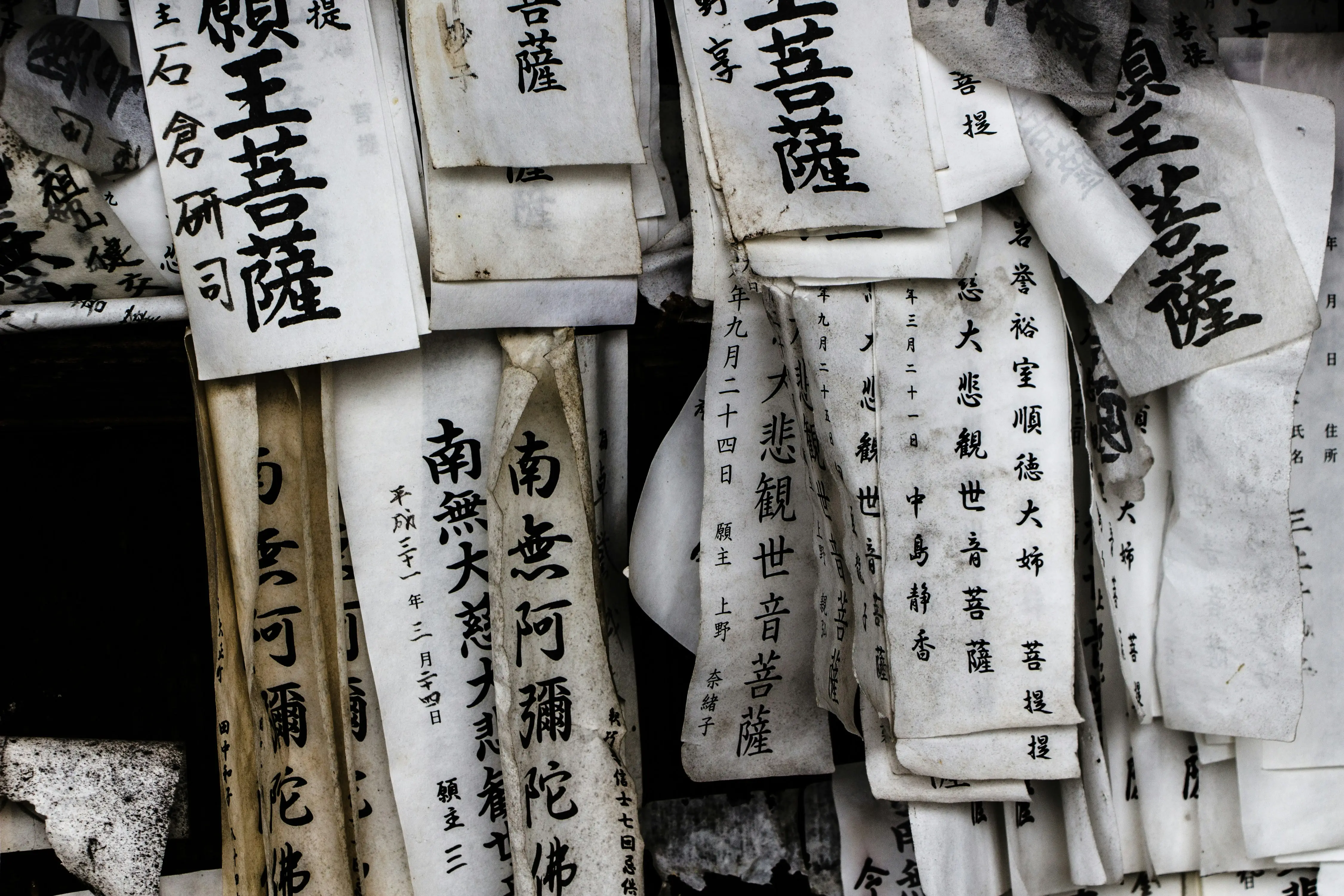 Japanese researchers turn discarded udon noodles into biodegradable paper: How it works