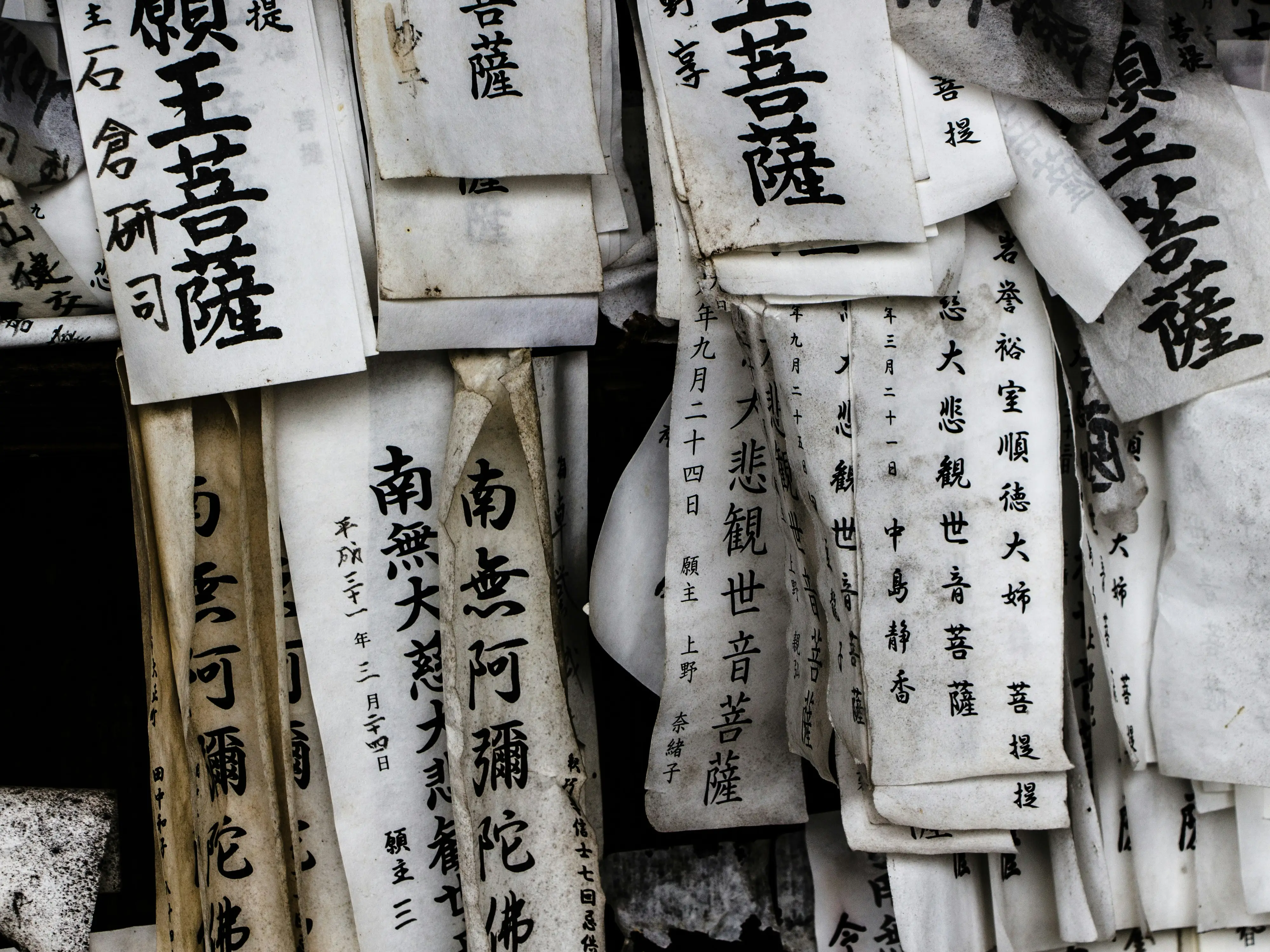 Japanese researchers turn discarded udon noodles into biodegradable paper: How it works