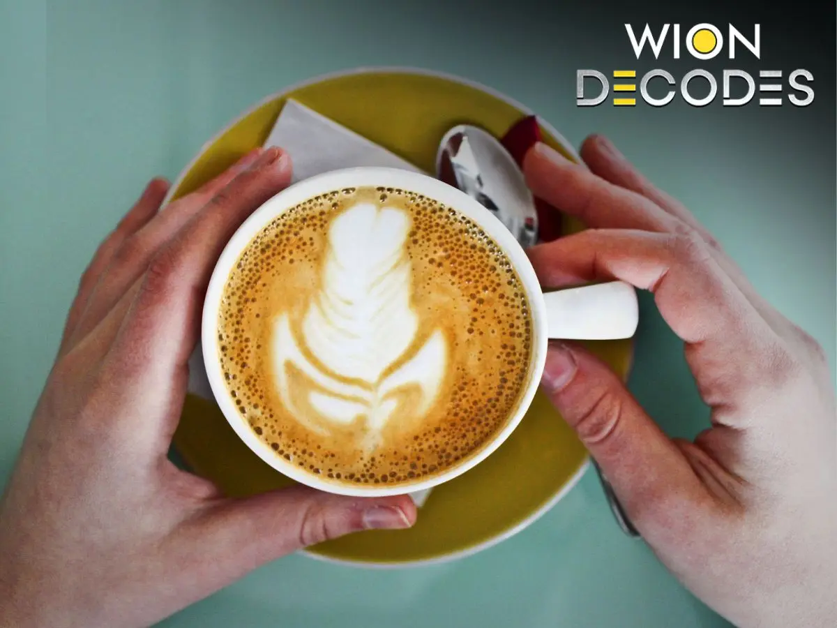 WION Decodes | Why does coffee calm some people instead of waking them up? Here’s what science says WION Decodes | Why does coffee calm some people instead of waking them up? Here’s what science says