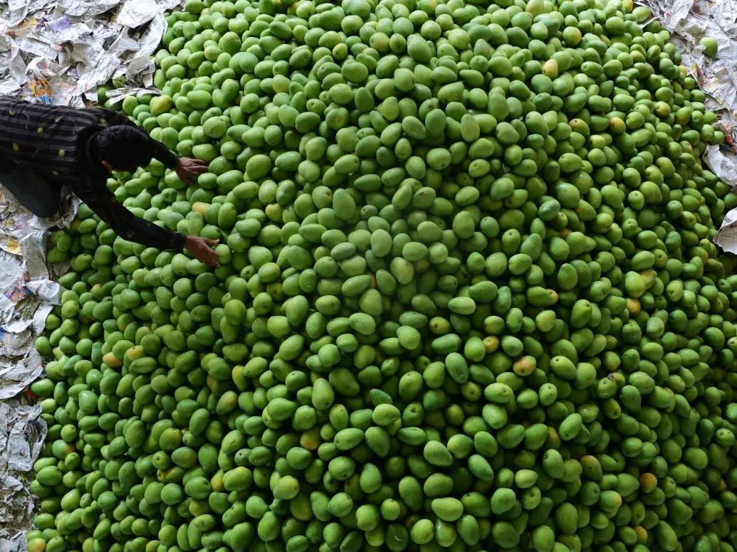 India's agri-export crisis- Mango, rice, spice, a bigger pattern of compliance failure