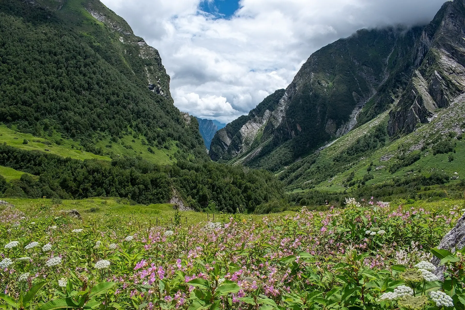 Looking for the perfect rainy-season adventure? Try these 8 monsoon treks