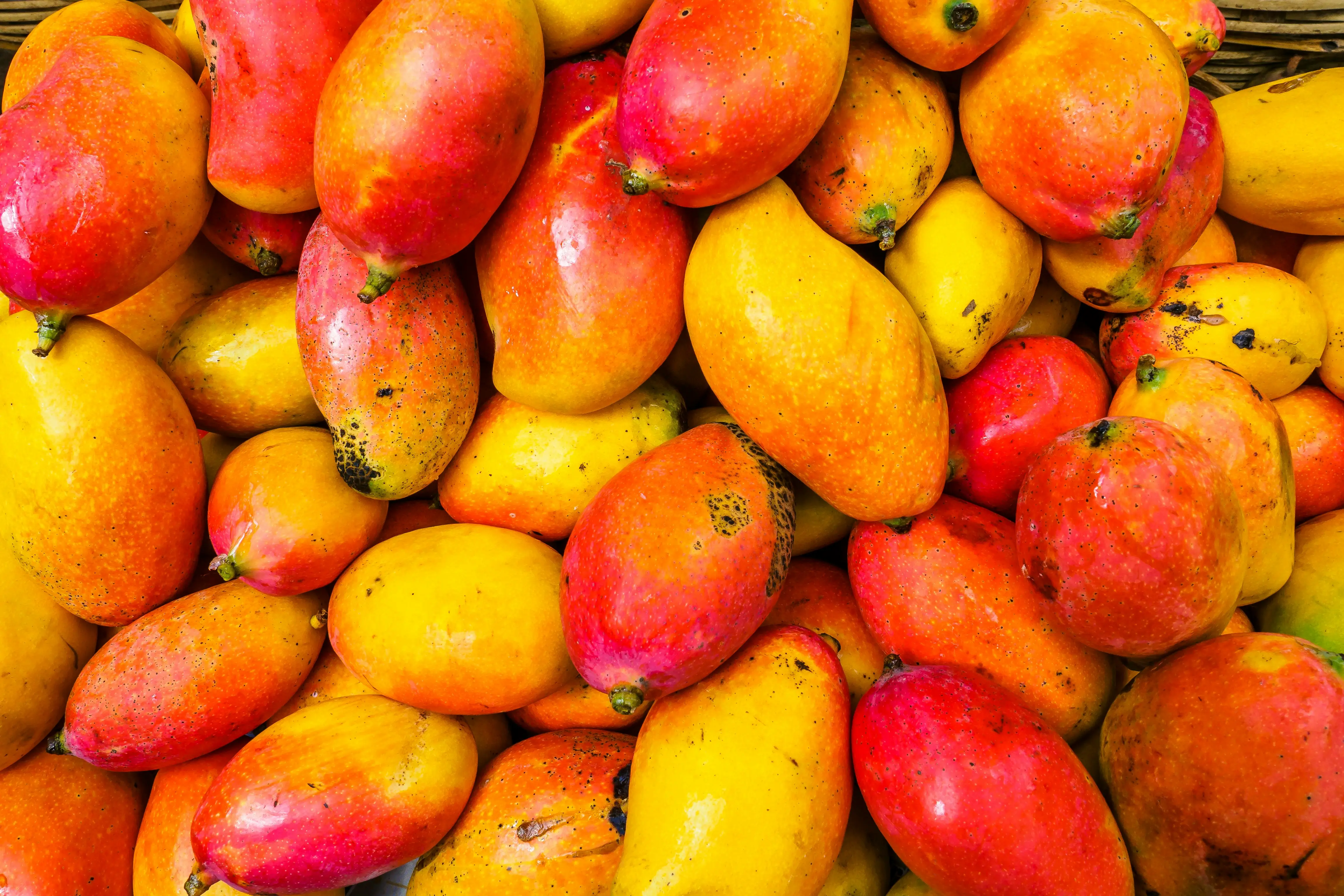 Why Nepal joins Japan in banning Indian Mango imports & how it could impact exporters