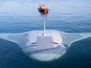 Rescues and radar: How autonomous are US sea drones really?