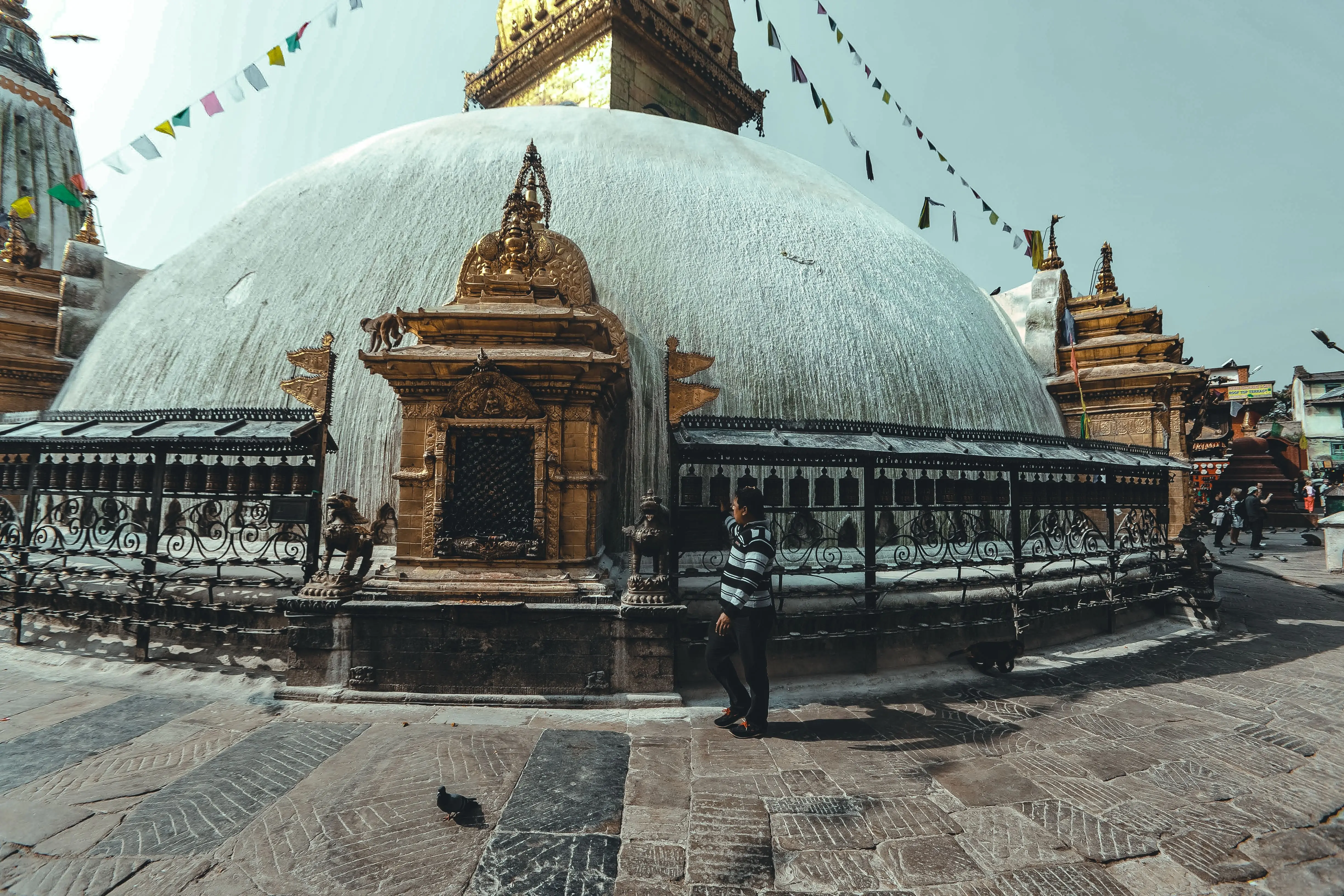 3. Nepal records one of the world's sharpest declines