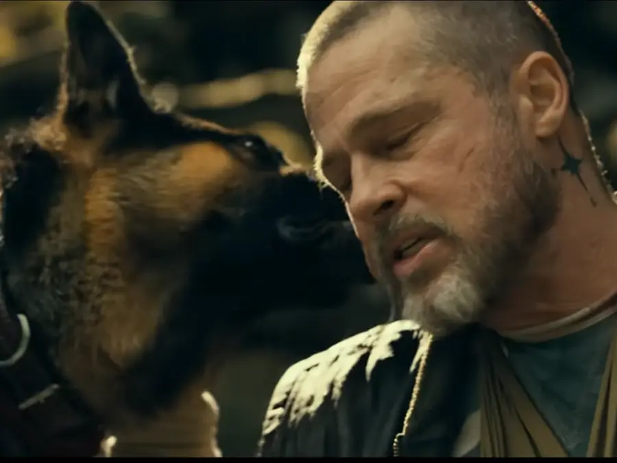 Heart Of The Beast trailer out: Brad Pitt and his canine companion battle for survival in Alaska | Watch