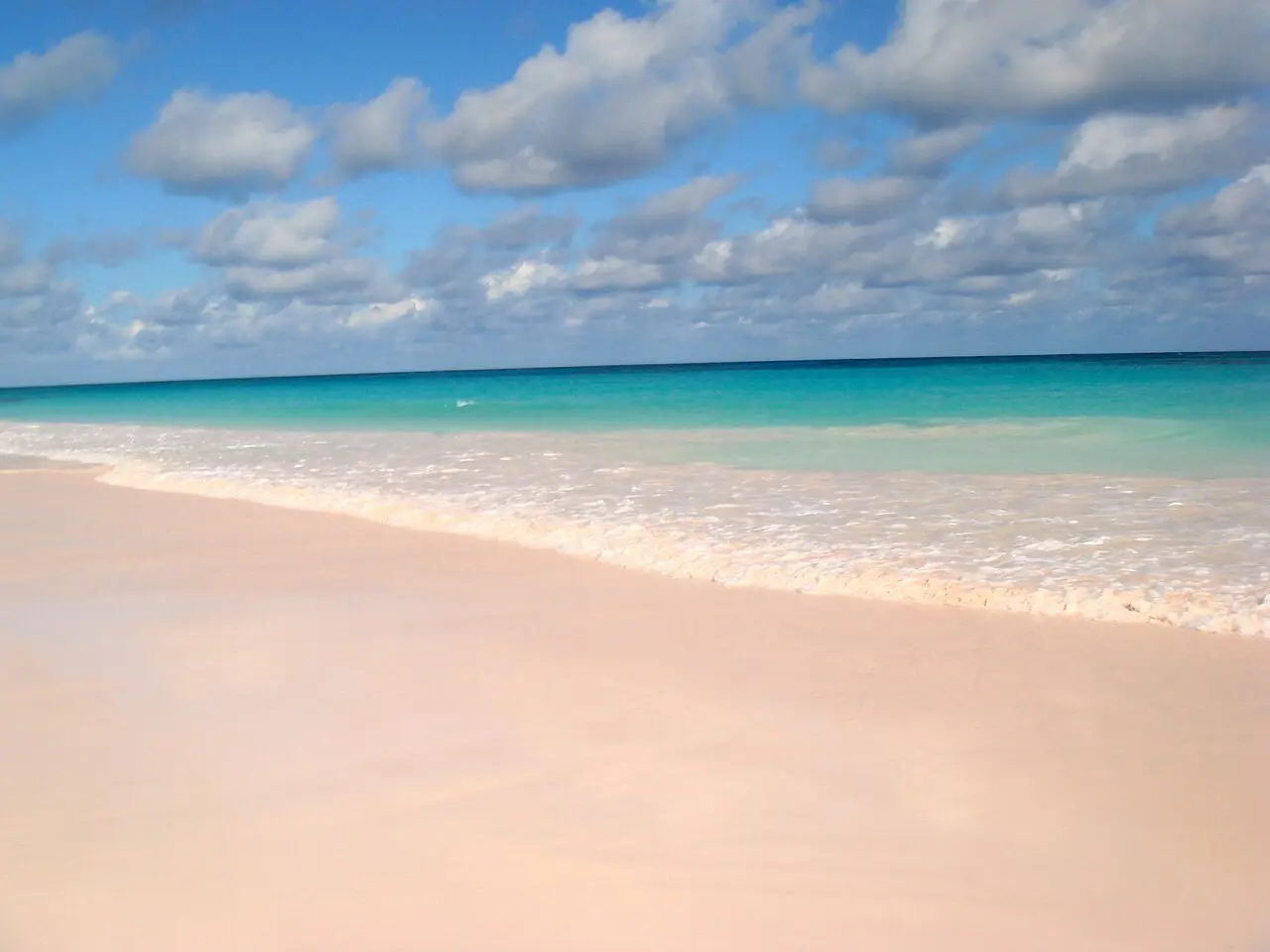 Why is this beach filled with pink sand?