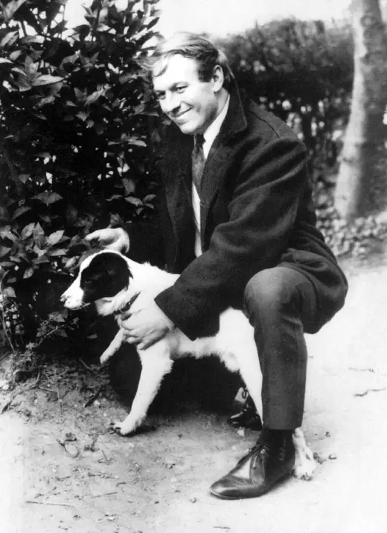 The dog who saved the 1966 FIFA World Cup: How Pickles Solved football's greatest mystery