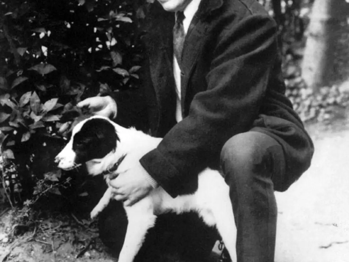 The dog who saved the 1966 FIFA World Cup: How Pickles Solved ...