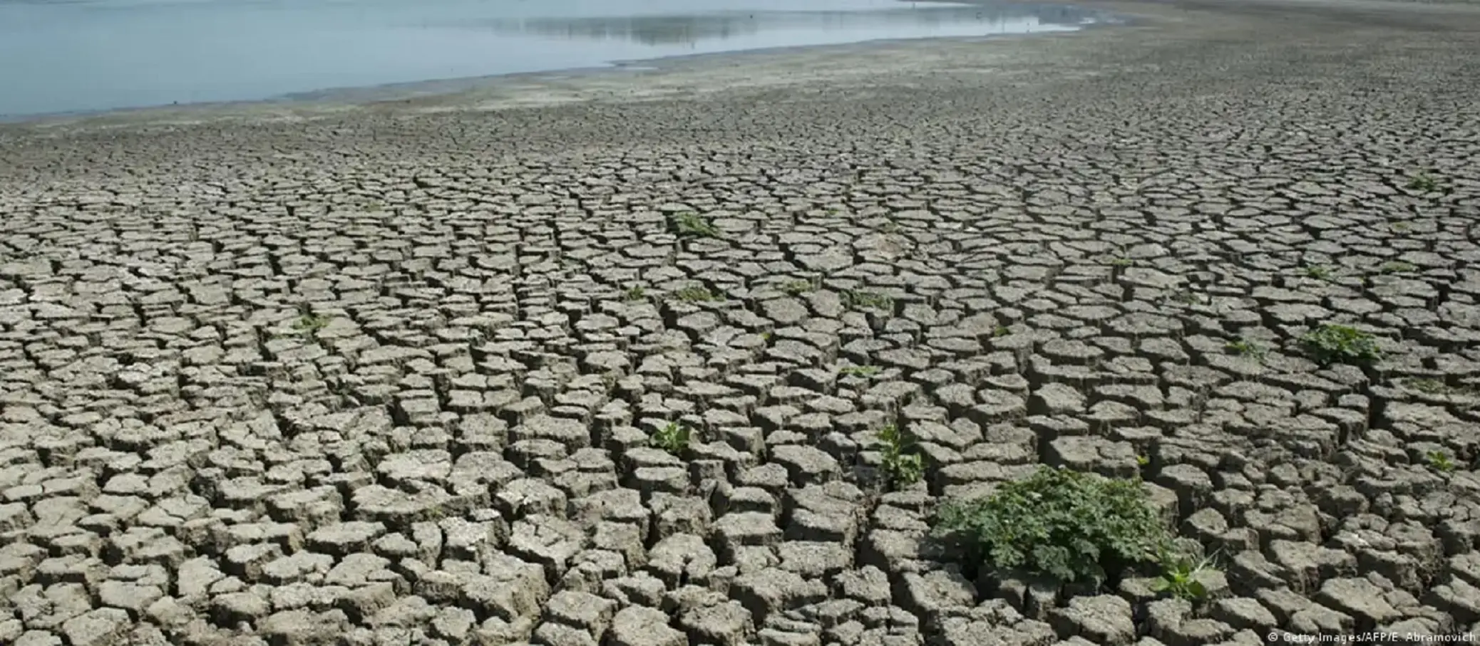IMD warns of El Niño onset: How will it impact India’s weather, rainfall, economy and public health