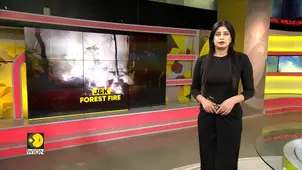 Jammu-Kashmir Forest Fire: Massive Forest Fire Erupts In Rajouri 