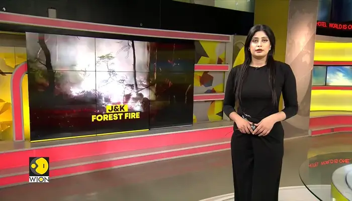 Jammu-Kashmir Forest Fire: Massive Forest Fire Erupts In Rajouri 