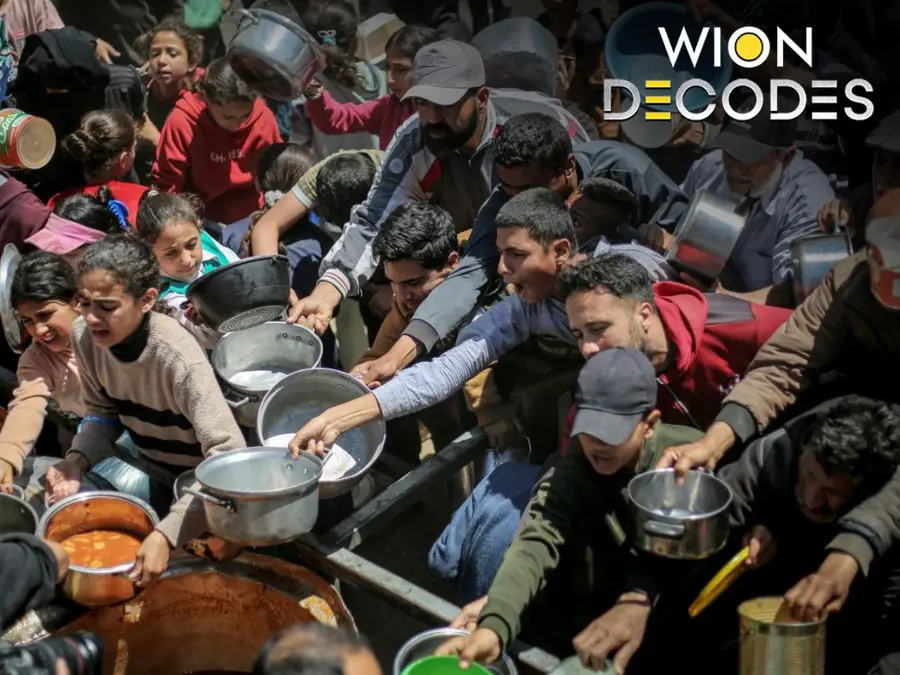 When climate meets conflict: How two crises are reshaping global hunger | WION Decodes