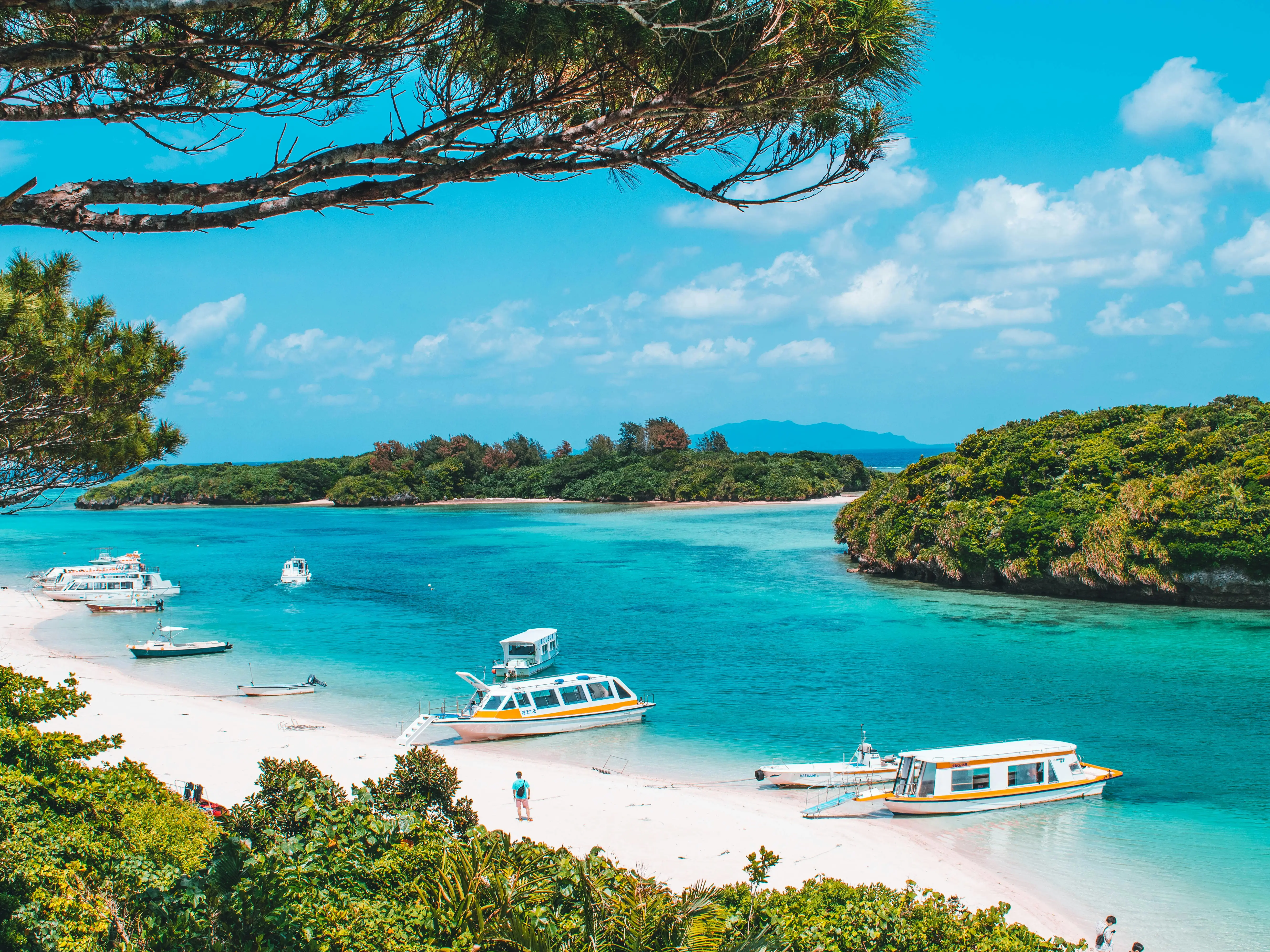 Why is this island known as the Land of Long Life? Why is this island known as the Land of Long Life?