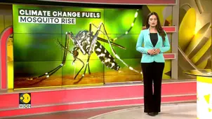 Climate Change Fuels Global Rise in Mosquito Populations 