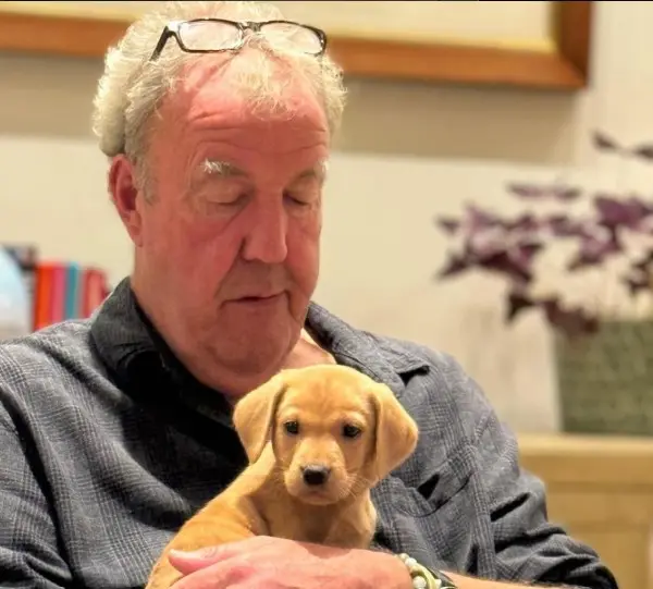Top Gear star Jeremy Clarkson diagnosed with prostate cancer