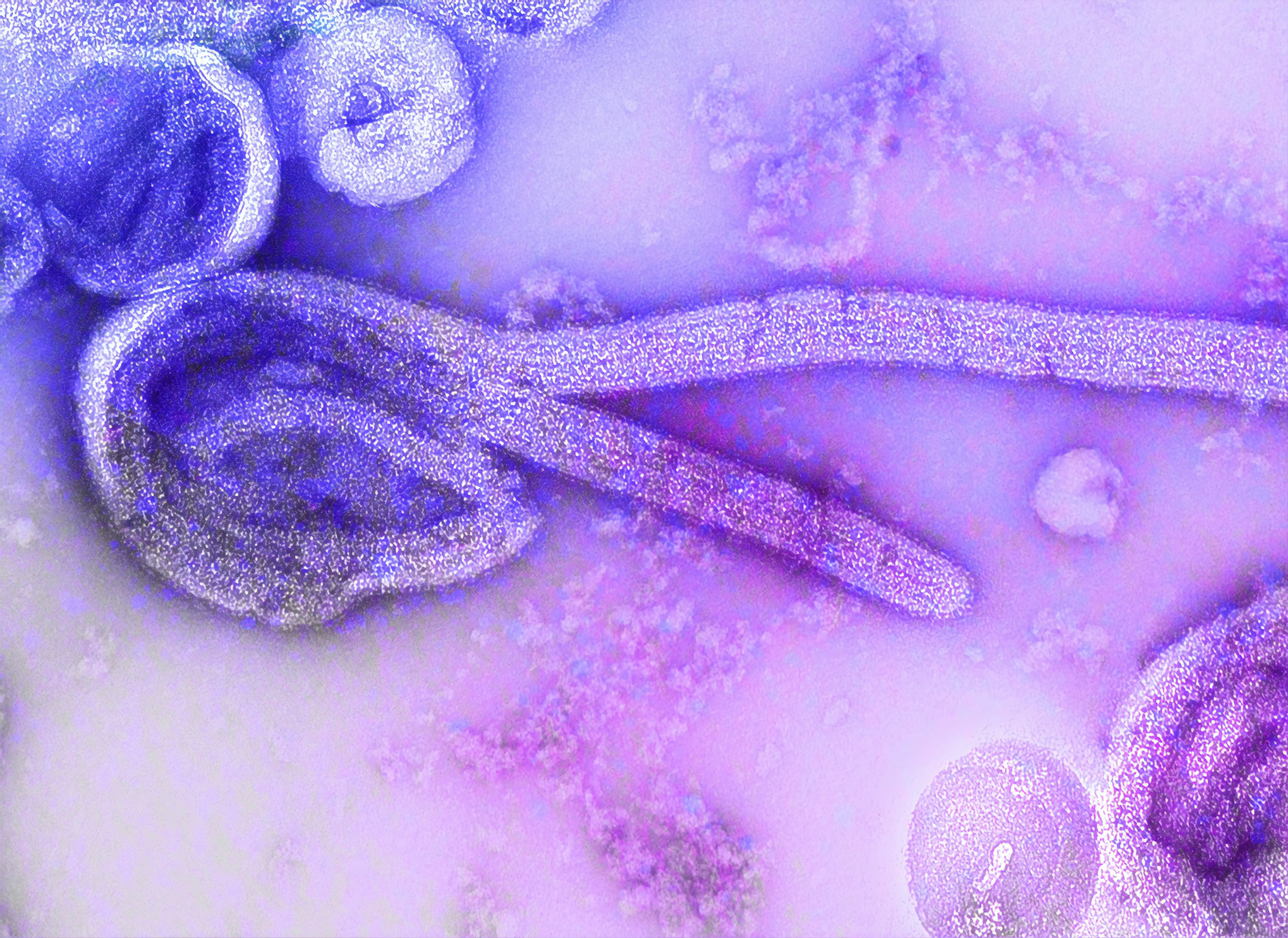 Ebola scare in Kerala: Woman returning from South Sudan falls ill – What we know