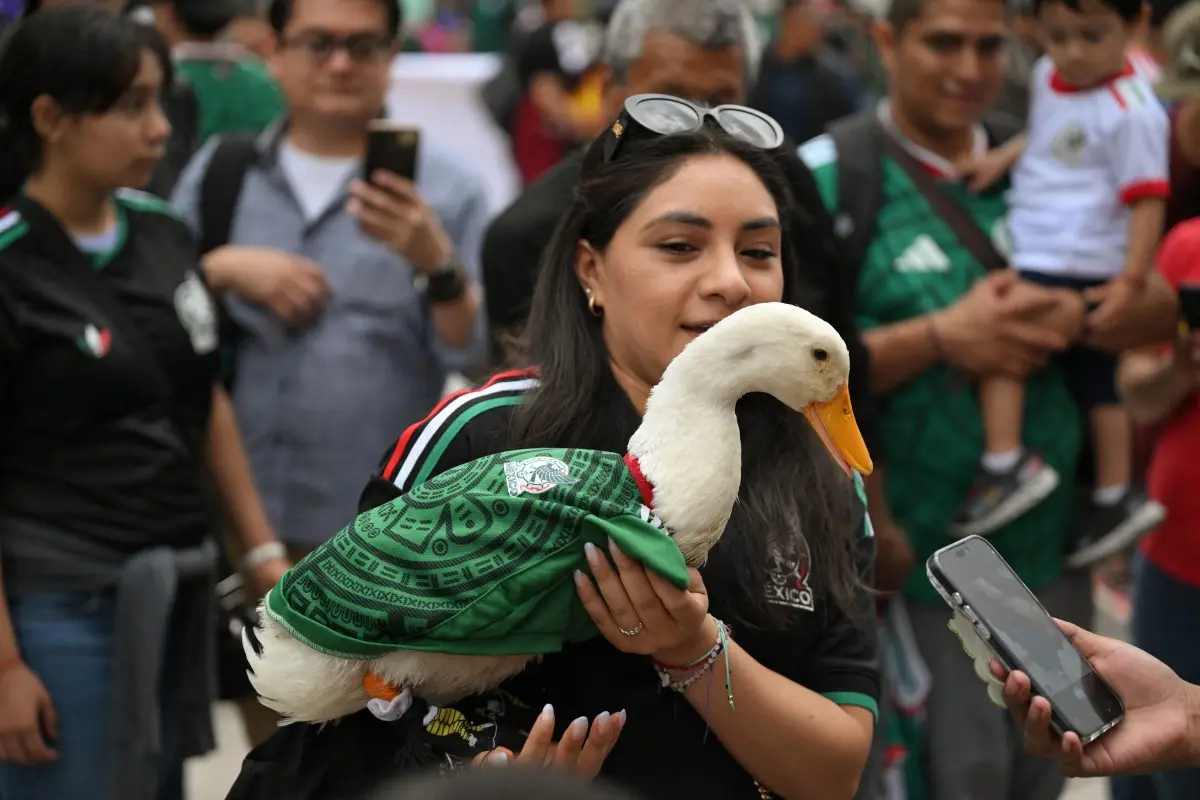Forget the players. Merlin the duck and Osito the dog are stealing the FIFA World Cup spotlight