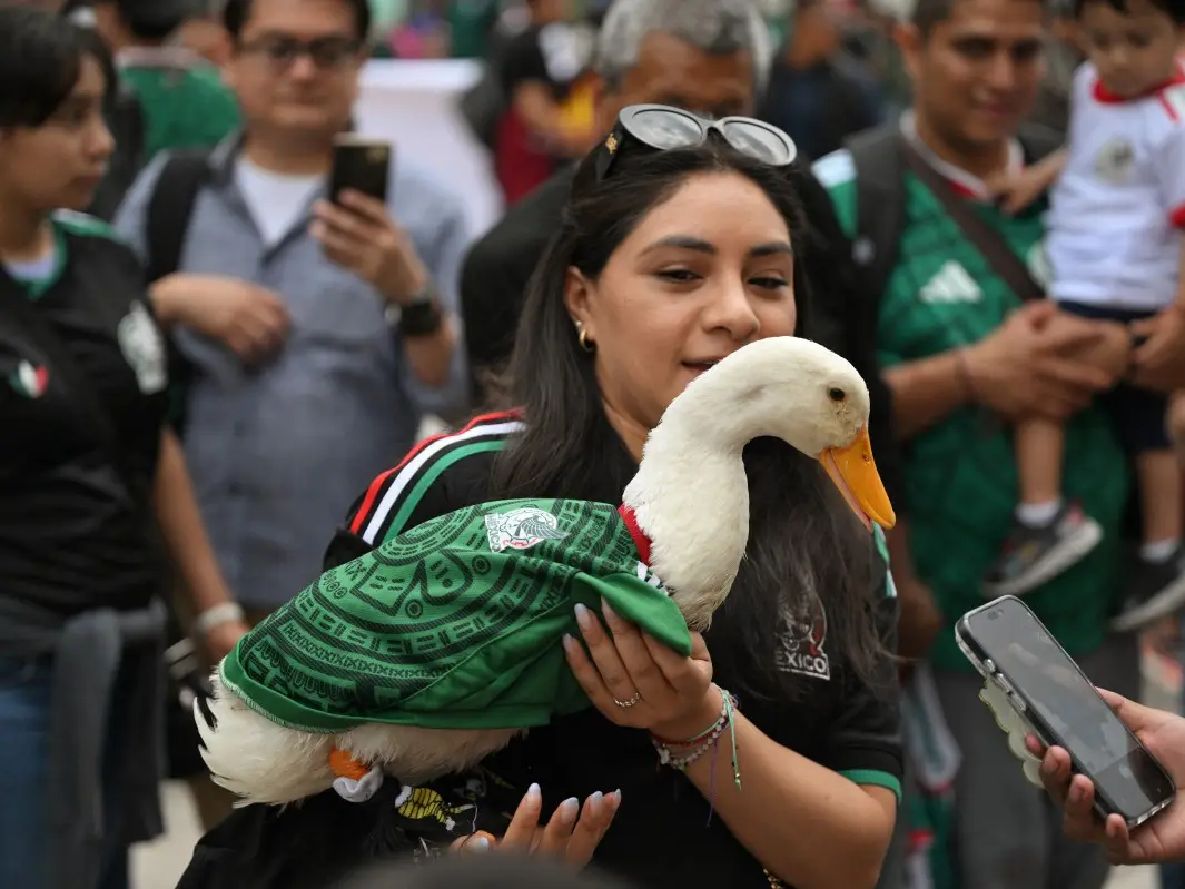 Forget the players. Merlin the duck and Osito the dog are stealing the FIFA World Cup spotlight Forget the players. Merlin the duck and Osito the dog are stealing the FIFA World Cup spotlight