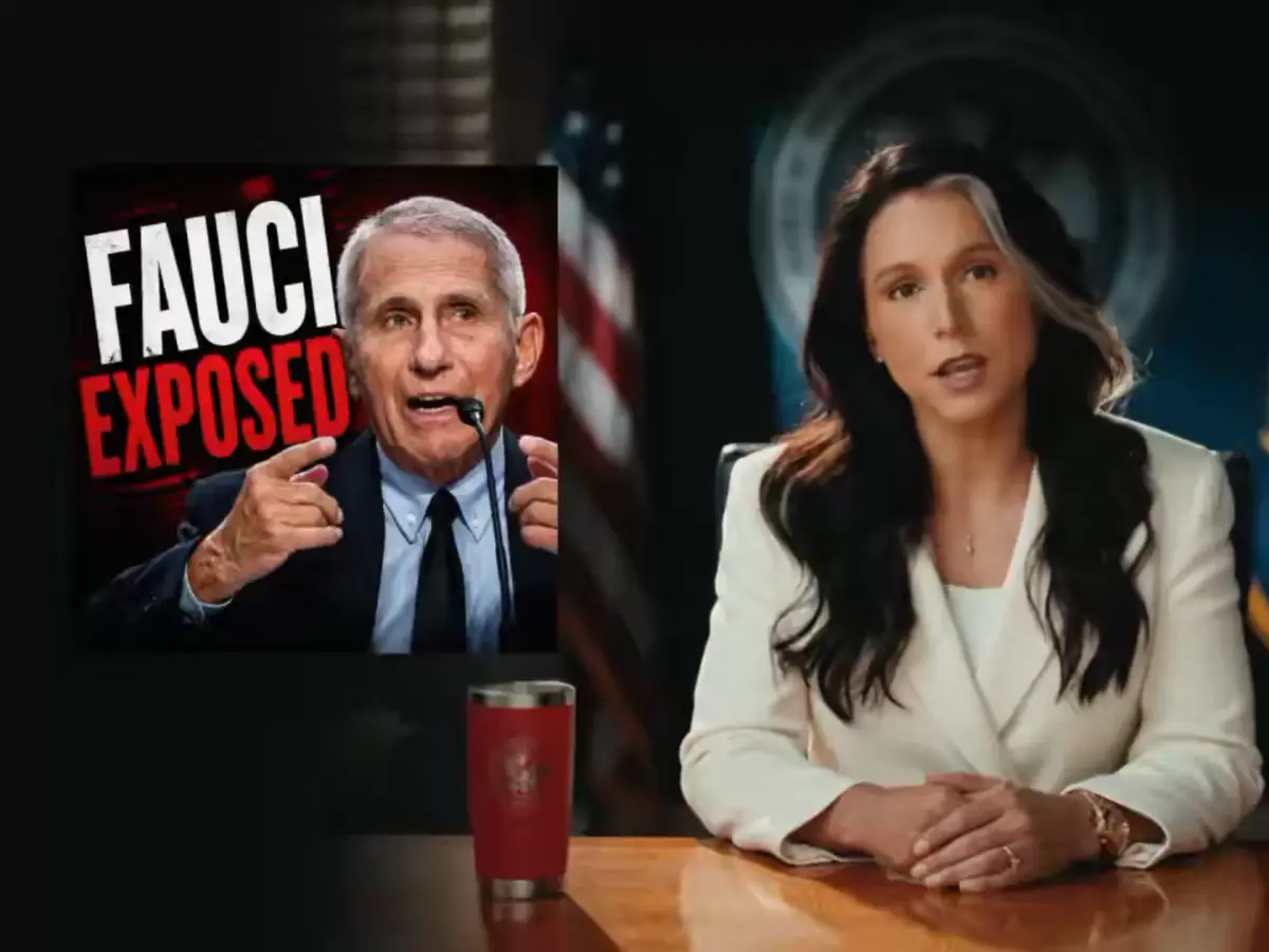 'Lies. Disinformation. Censorship': Gabbard releases 'never-before-seen' docs to prove Fauci helped bury COVID files