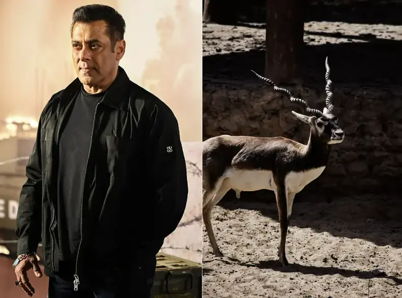 Salman Khan denied immediate relief over Kala Hiran movie; court orders actor to provide more documents