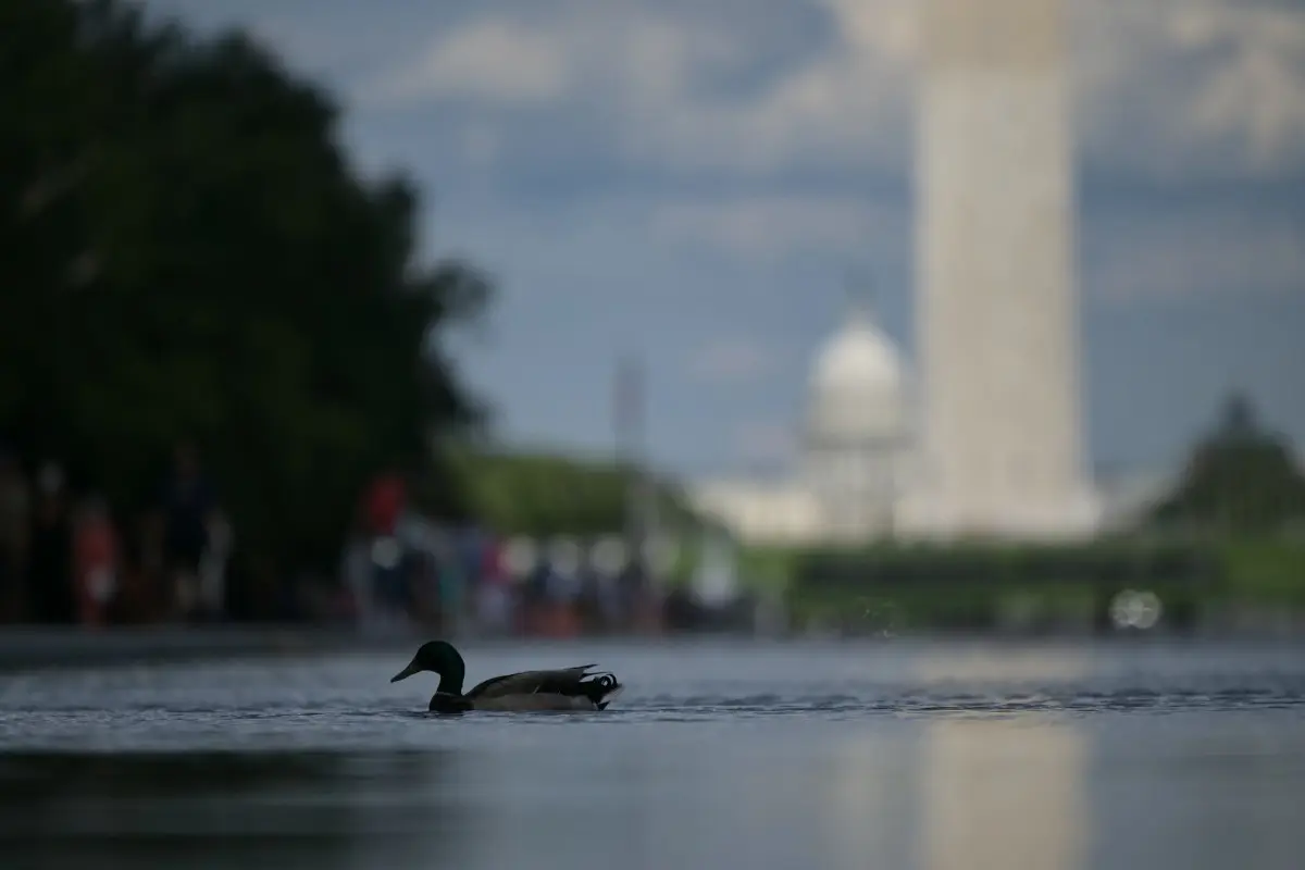 Trump claims Lincoln Memorial Reflecting Pool was vandalised after $14.7 million renovation