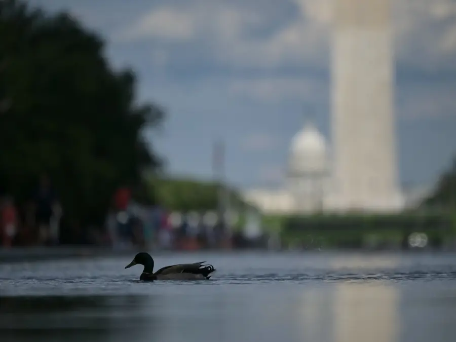 Trump claims Lincoln Memorial Reflecting Pool was vandalised after $14.7 million renovation