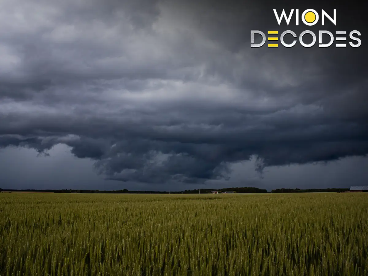 Monsoon 2026: Why India watches the rain so closely | WION Decodes Monsoon 2026: Why India watches the rain so closely | WION Decodes