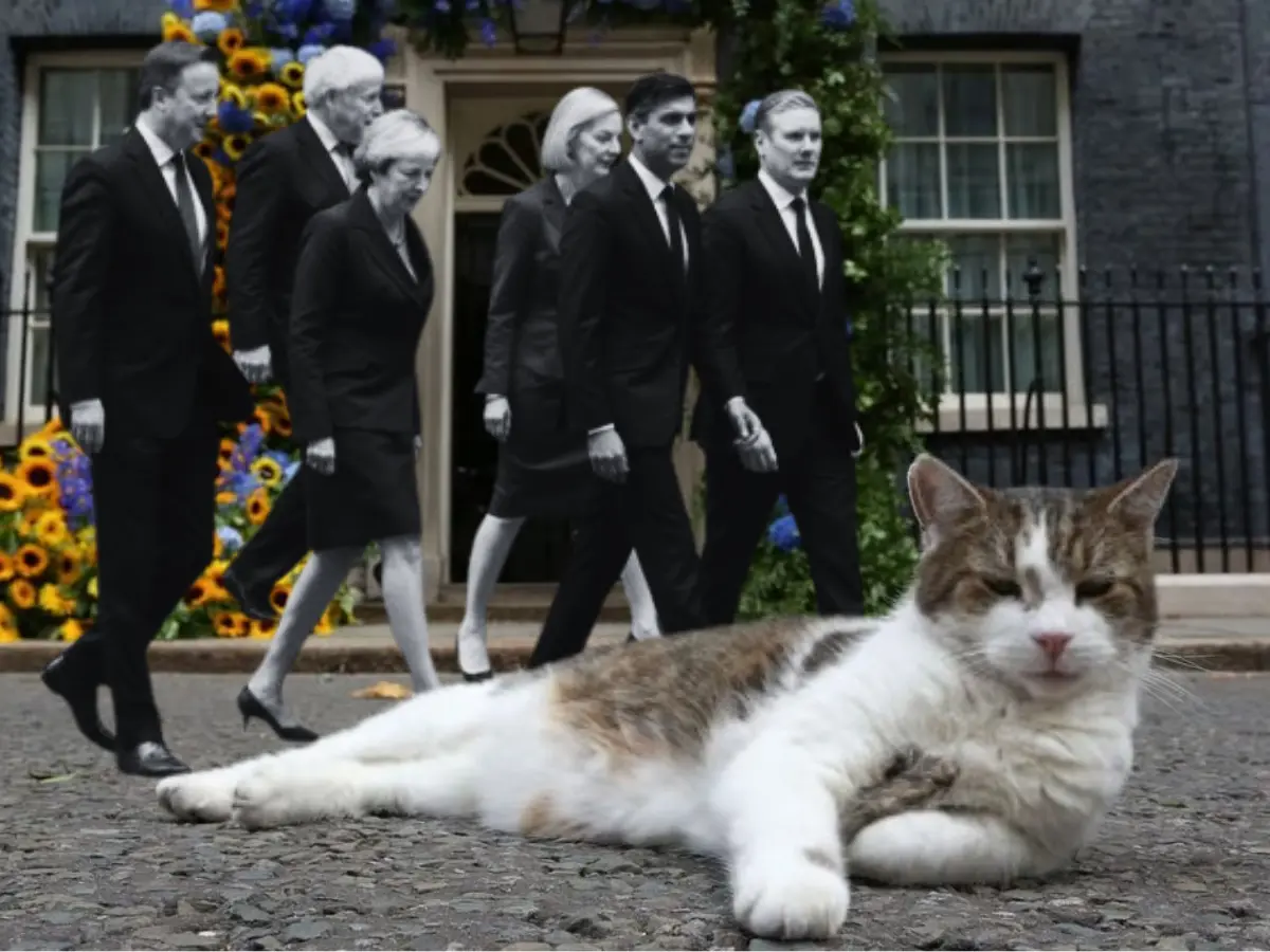 'Another one bites the dust': Larry the cat is now fed up with PMs resignations in the UK, doesn't want to remember their names 'Another one bites the dust': Larry the cat is now fed up with PMs resignations in the UK, doesn't want to remember their names