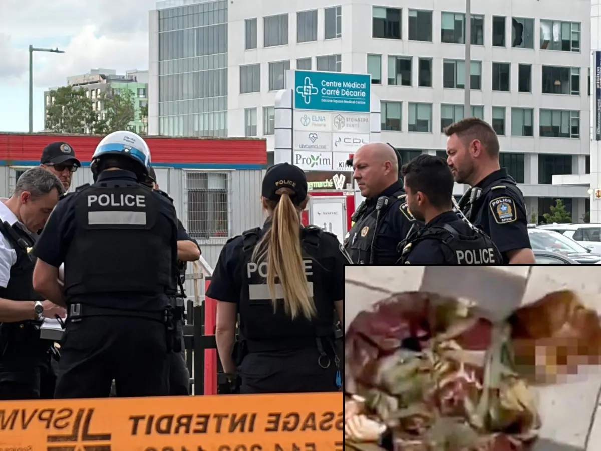 Montreal shooter's 104-page manifesto reveals his hate for women and capitalism