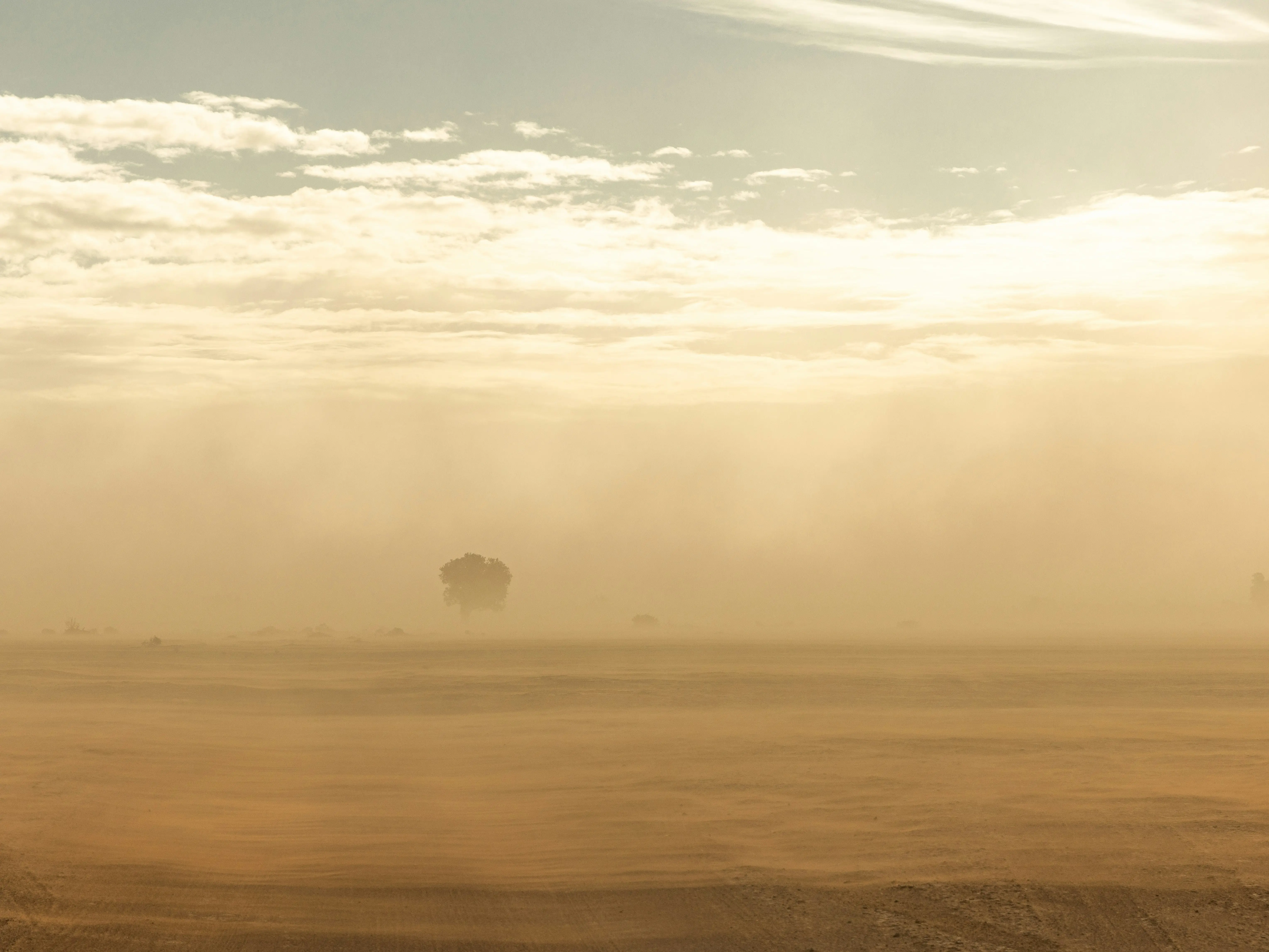 Massive dust cloud from Sahara moving towards US - Details Massive dust cloud from Sahara moving towards US - Details