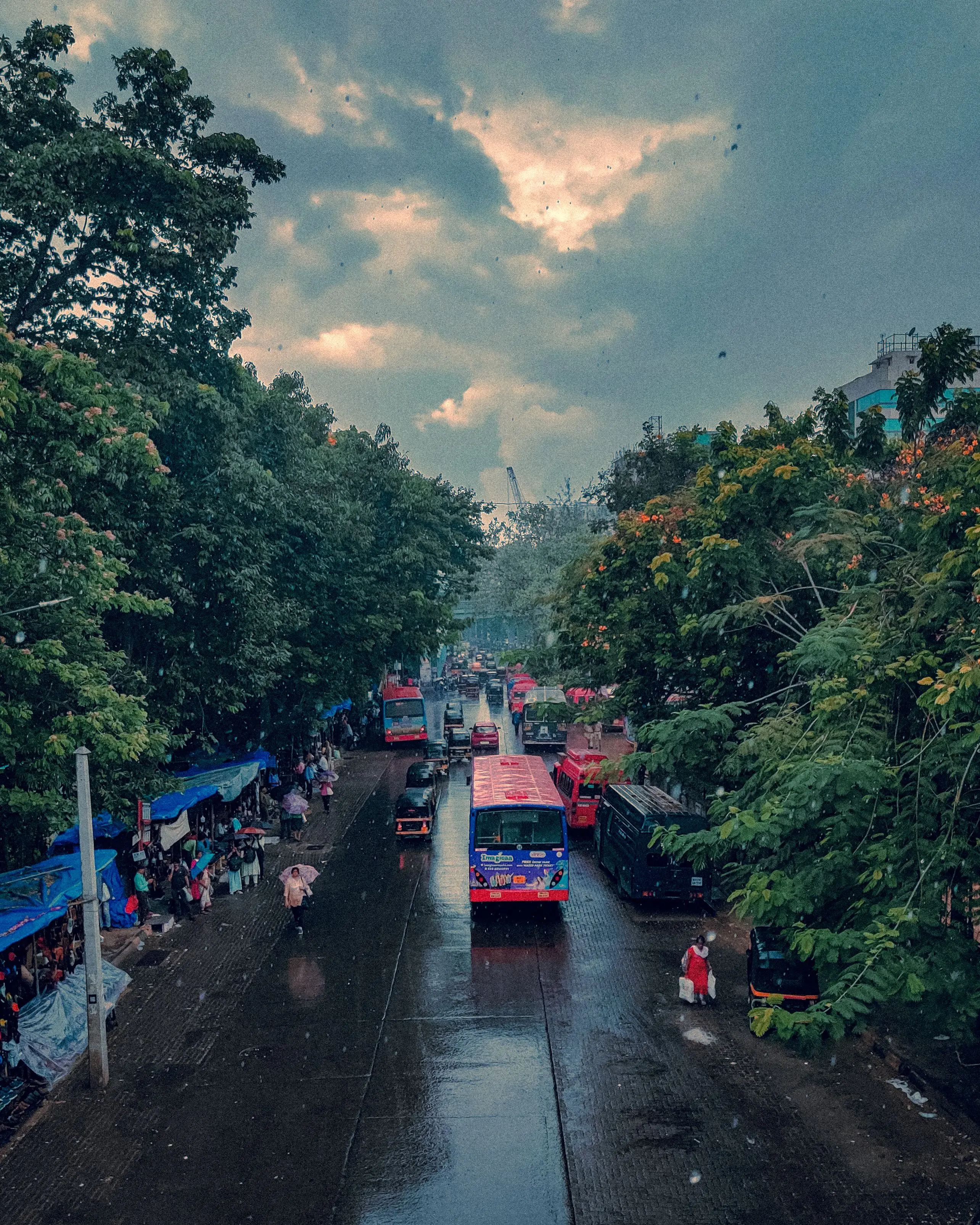 Mumbai finally welcomes monsoon as IMD declares official onset