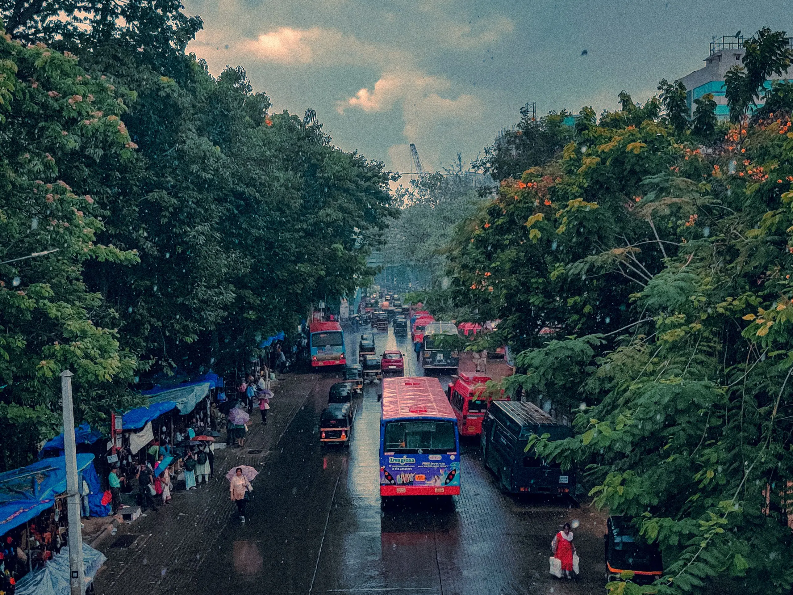 Mumbai finally welcomes monsoon as IMD declares official onset Mumbai finally welcomes monsoon as IMD declares official onset